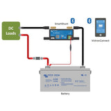 Victron SmartShunt